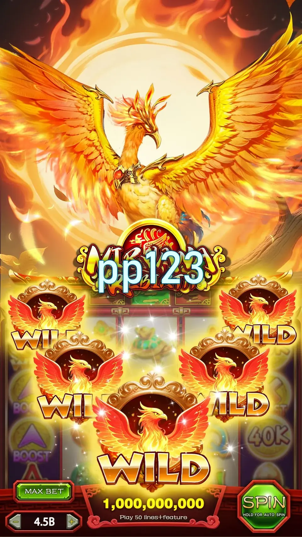 pp123 APK